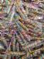 Industria de fabricaci�n de paletas de colores, chupetes, tweeps, caramelos y deliciosas golosinas.