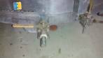 Tanque de almacenamiento acero inoxidable 316 1.200 litros