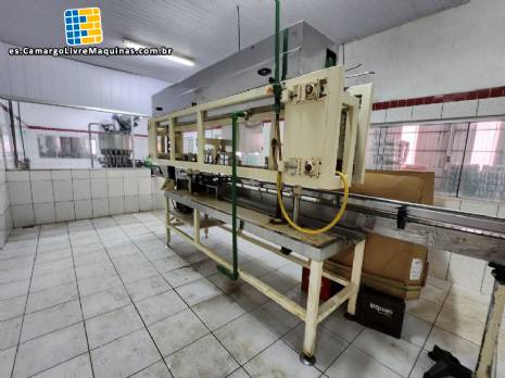 Lavadora enjuagadora de globo para botellas Zegla