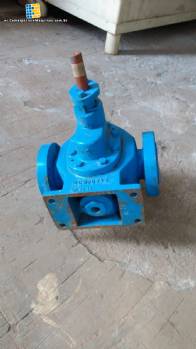 Zapatos de tac�n con camisa de chocolate FB