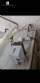 Lnea de pasteurizacin y homogeneizacin