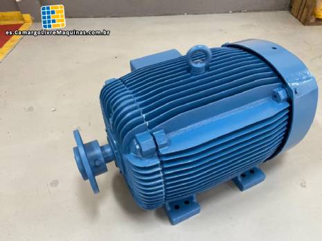 Motor elctrico convencional WEG