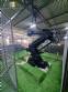 Robot industrial Comau C3G Plus