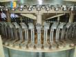Llenadora automtica rotativa para refrescos carbonatados con 72 boquillas