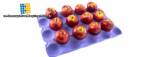 Lneas de produccin de bandejas para huevos Eco-Recycle-Equip