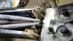 Lnea para la produccin de jengibre