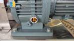 ZH SS304 stainless steel sanitary lobe pump